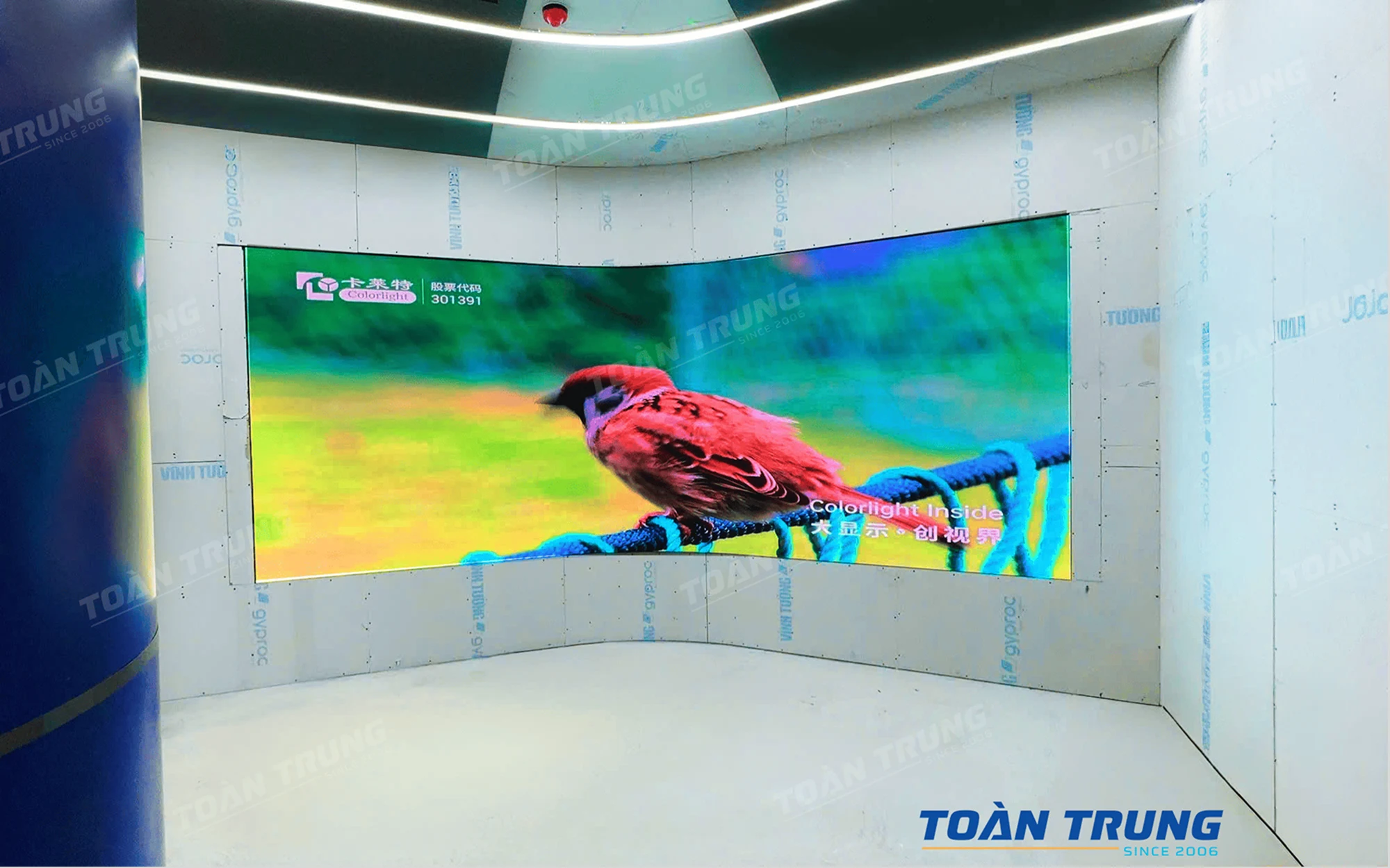 Dự án thi công hơn 600m2 LED outdoor nhiều mặt, nhiều hình dạng tại Quy Nhơn